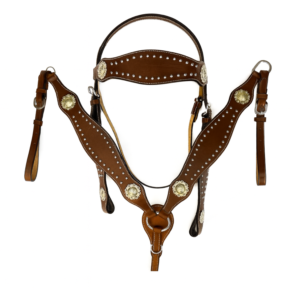 Juego de Brida y Pechera de Cuero Premium