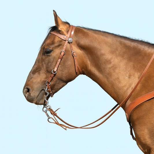 Cabezada de Cuero Western con Conchos Florales Estilo Weaver